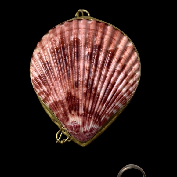 New Two’s Company Real Sea Shell Sunset Colors Ring Holder Pill Box Trinket - Picture 4 of 7